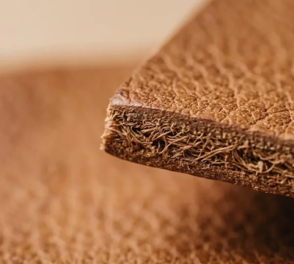 Gros plan d'une pièce de cuir à tannage végétal rigide avec texture naturelle apparente